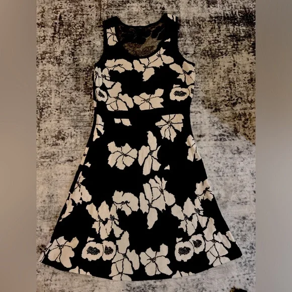 Ann Taylor Petite Fit and Flare Sweater Dress